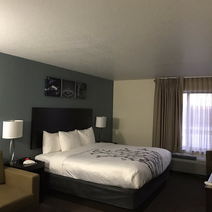 Sleep Inn Suites Ankeny Des Moines — Guest room