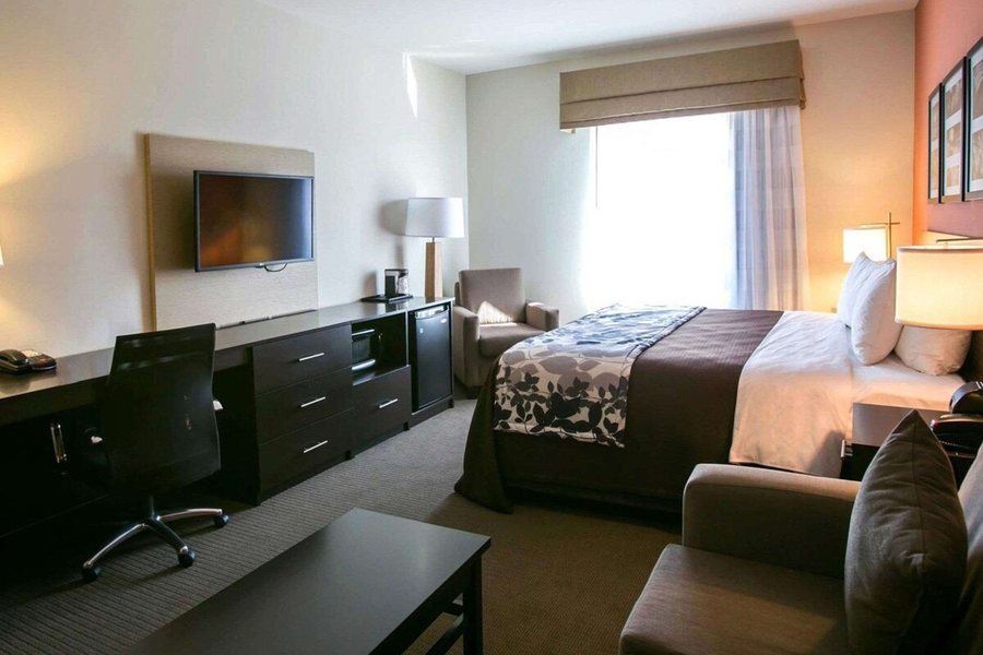 Sleep Inn Suites Austin — Guest room