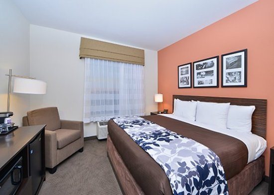 Sleep Inn Suites Austin North I 35 — Guest room