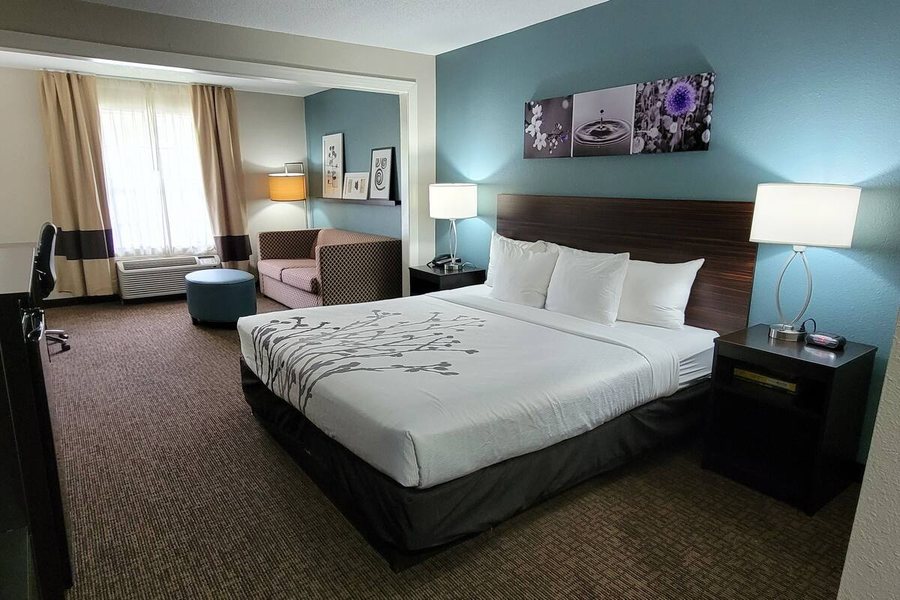 Sleep Inn Suites Birmingham Hoover — Guest room