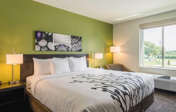 Sleep Inn Suites — Guest room