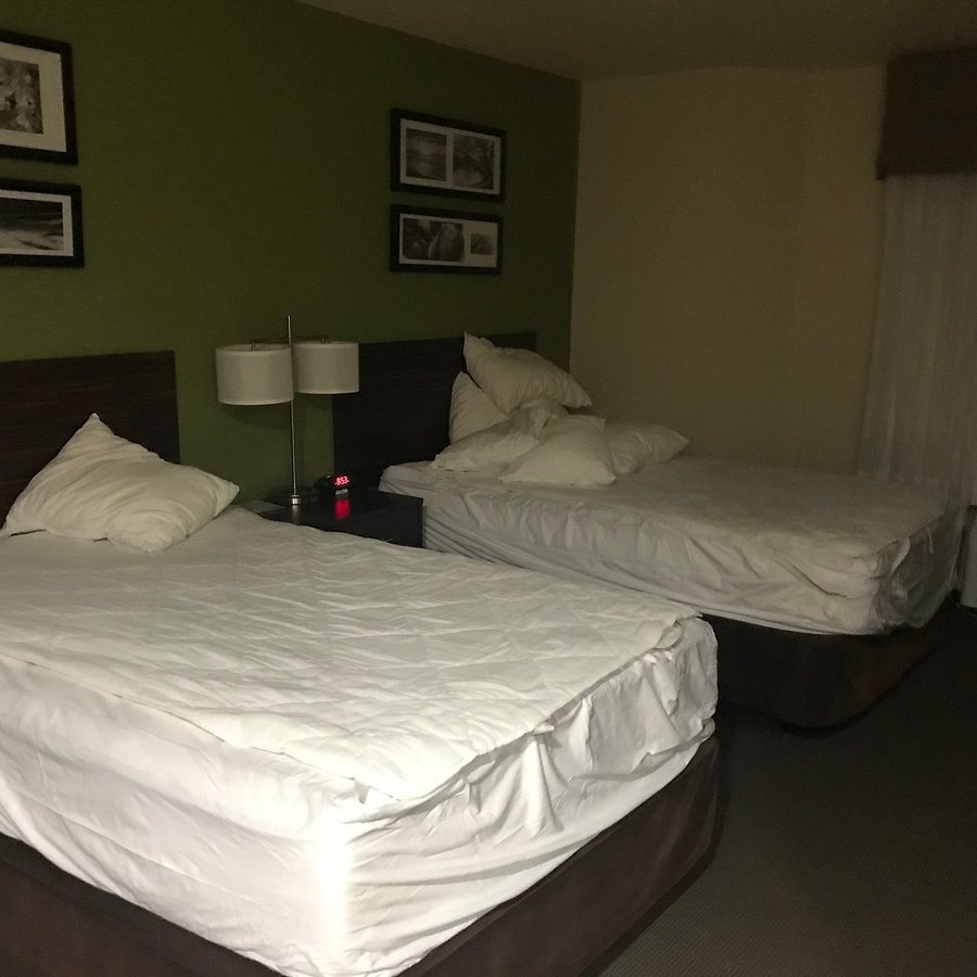 Sleep Inn Suites Central I 44 — Guest room