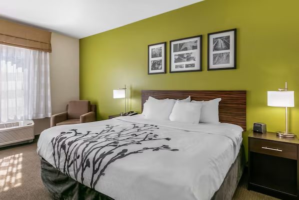 Sleep Inn Suites Columbia I 65 — Guest room