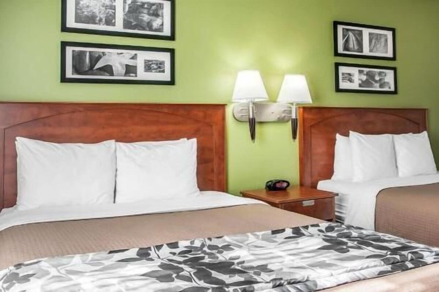 Sleep Inn Suites Conference Center — Guest room