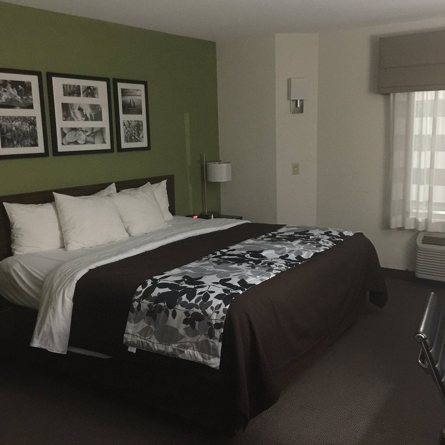 Sleep Inn Suites Cullman I 65 Exit 310 — Guest room