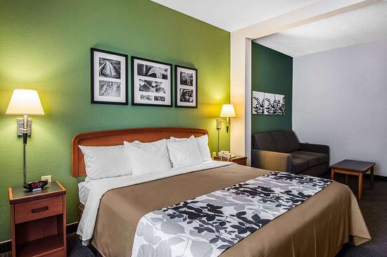 Sleep Inn Suites — Guest room