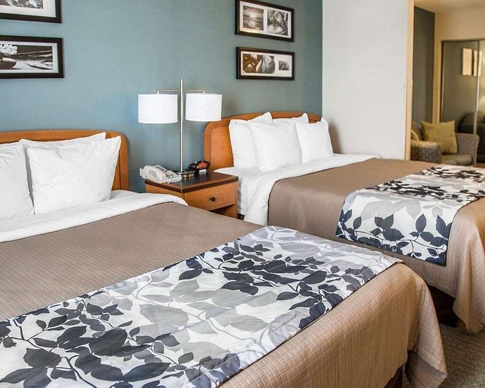Sleep Inn Suites Davenport Quad Cities — Guest room