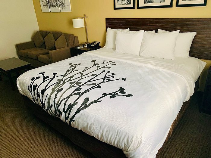 Sleep Inn Suites Fargo Medical Center — Guest room
