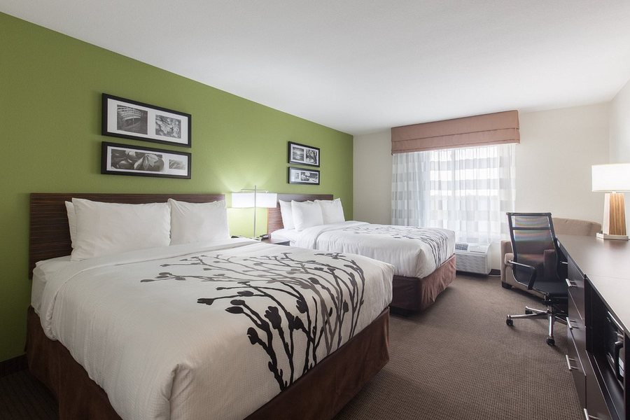Sleep Inn Suites Fond du Lac — Guest room