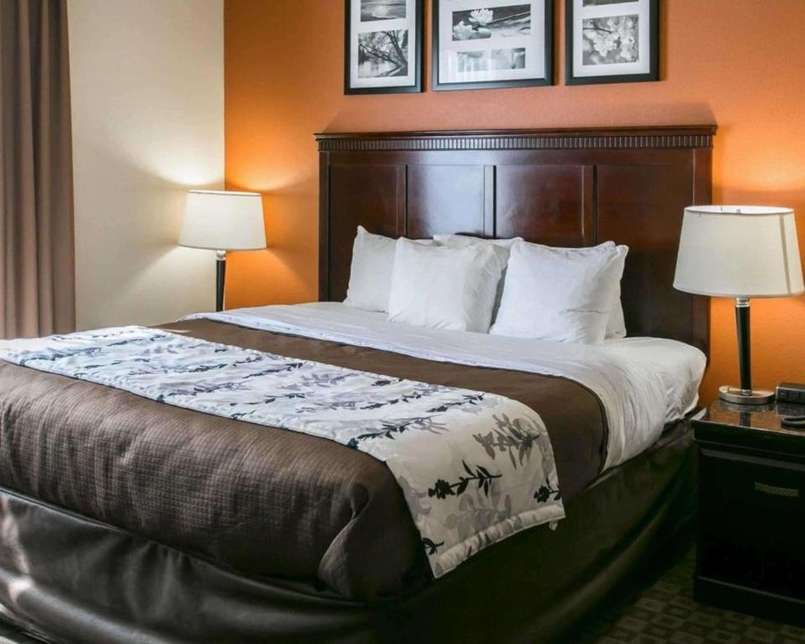 Sleep Inn Suites Hwy 290 NW Freeway — Guest room
