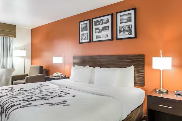 Sleep Inn Suites Indoor Waterpark — Guest room