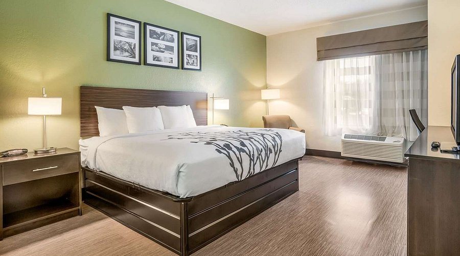 Sleep Inn Suites Jacksonville — Guest room