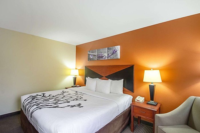 Sleep Inn Suites Madison Monona — Guest room