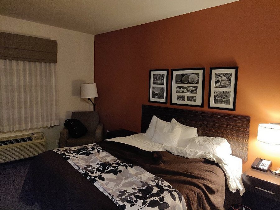 Sleep Inn Suites Medical Center — Guest room