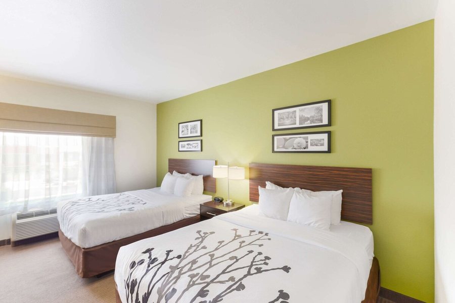 Sleep Inn Suites Midland — Guest room