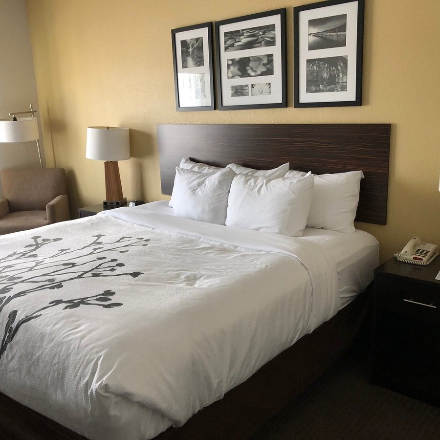 Sleep Inn Suites Miles City I 94 — Guest room