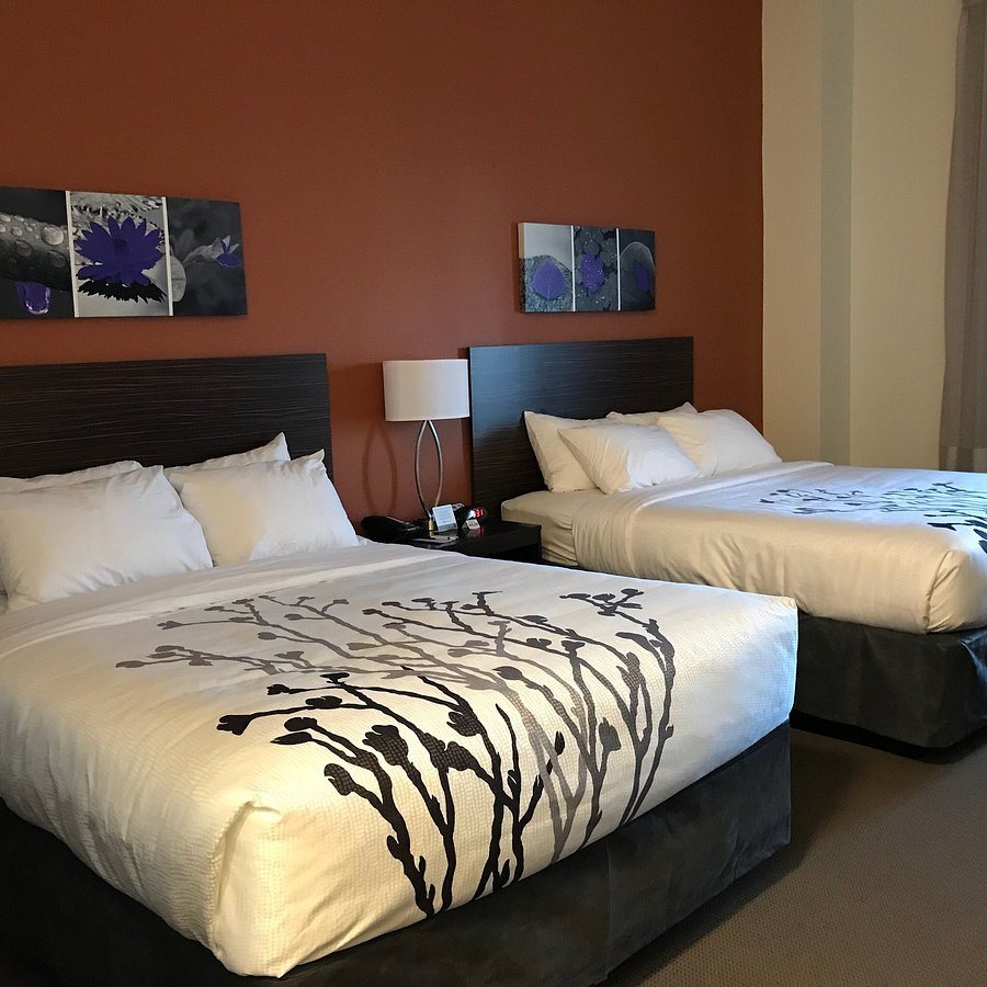 Sleep Inn Suites Moab Near Arches National Park — Guest room