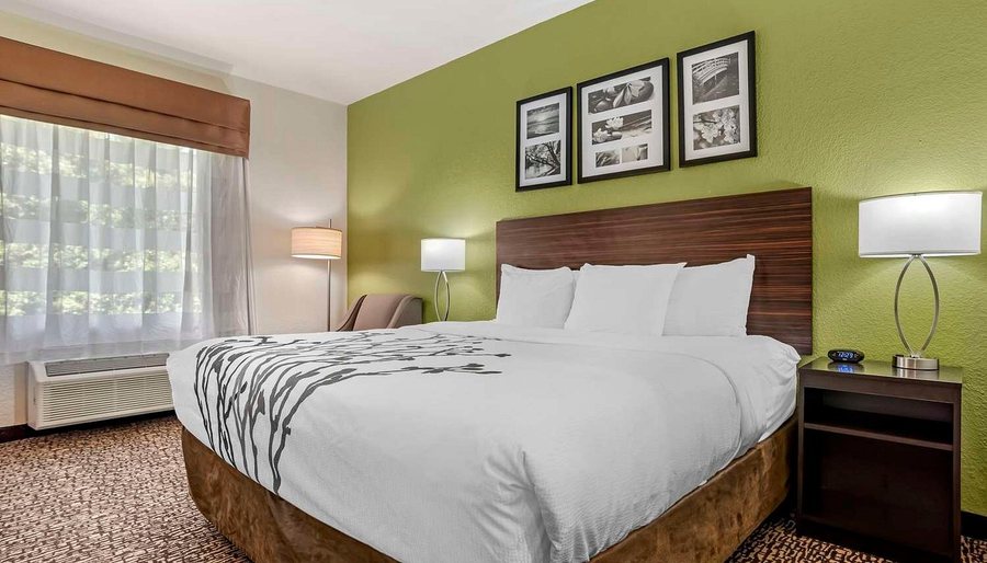 Sleep Inn Suites Montgomery East I 85 — Guest room