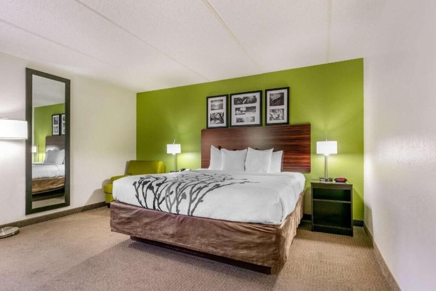Sleep Inn Suites Near Sports World Blvd — Guest room