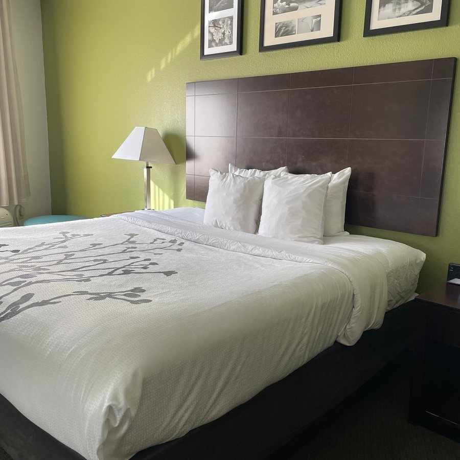 Sleep Inn Suites Near Westchase — Guest room