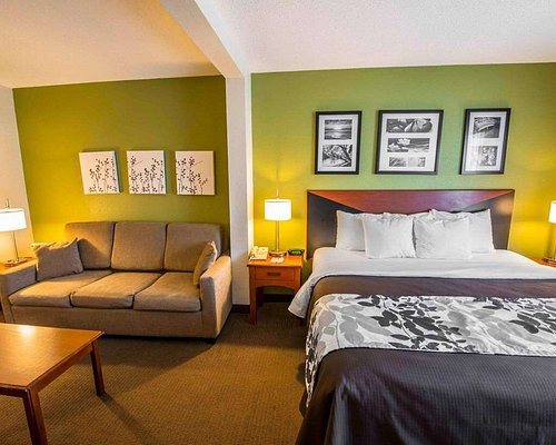 Sleep Inn Suites Princeton I 77 — Guest room