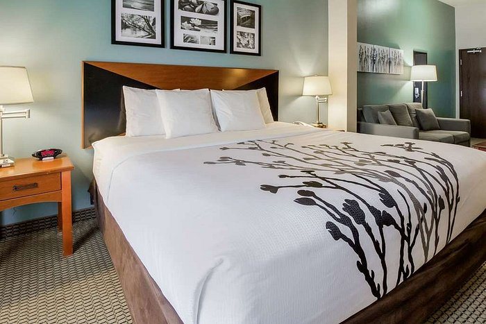 Sleep Inn Suites — Guest room