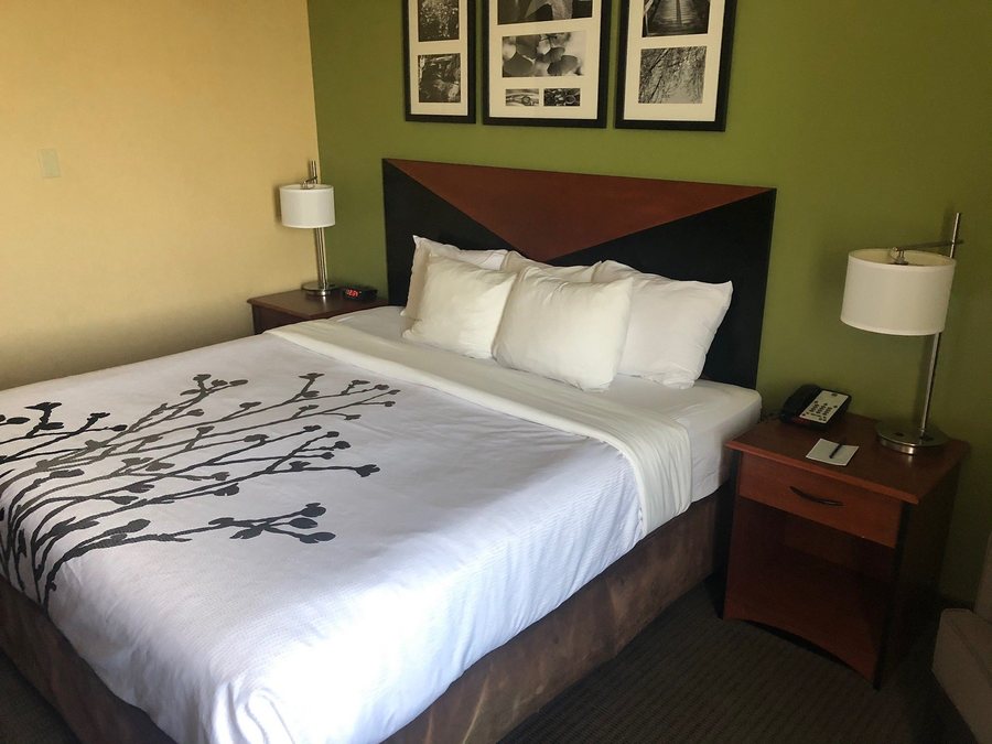 Sleep Inn Suites — Guest room