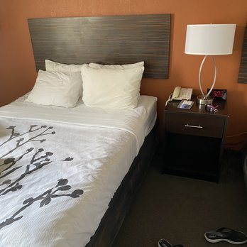 Sleep Inn Suites Ronks — Guest room