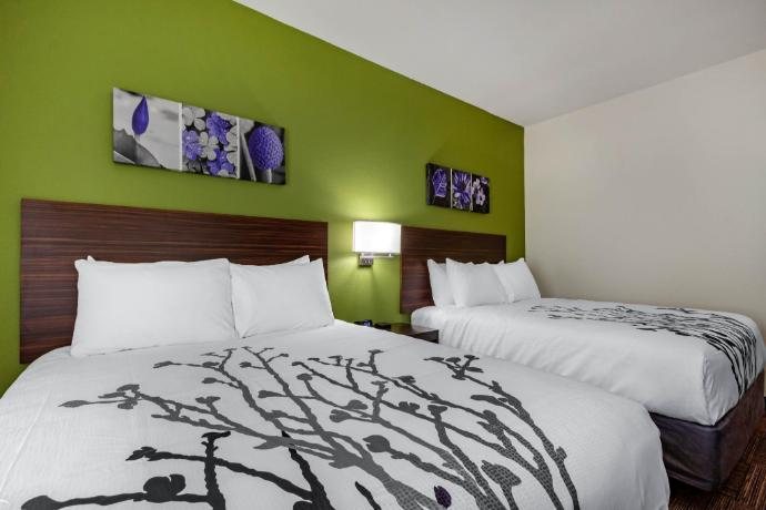 Sleep Inn Suites Tampa South — Guest room