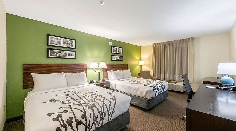 Sleep Inn Suites University — Guest room