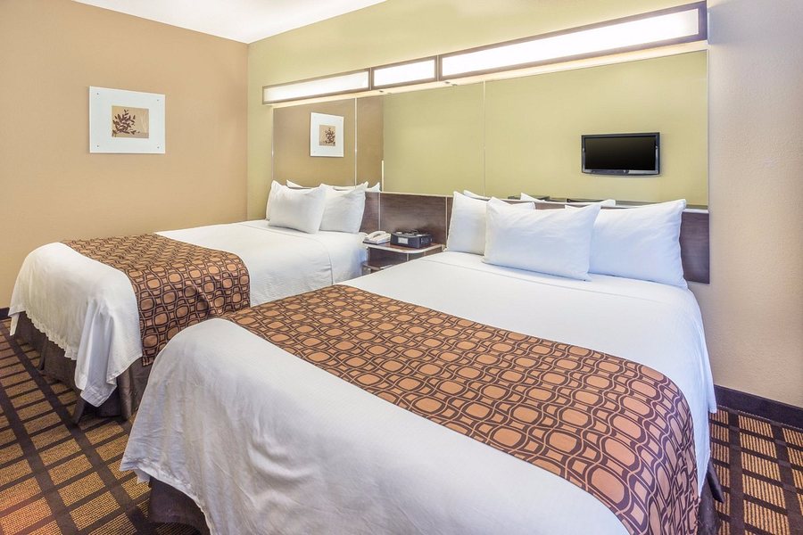 Sleep Inn Suites West Knoxville — Guest room