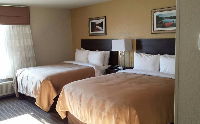Sleep Inn Suites West Near Medical Center — Guest room
