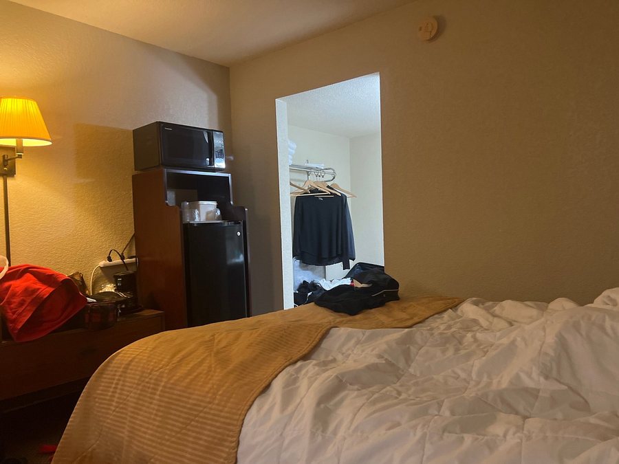 Sleepy Bear Motel — Guest room