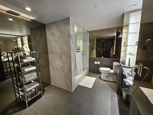 SLS Hotel a Luxury Collection Hotel Beverly Hills Los Angeles California — Bathroom