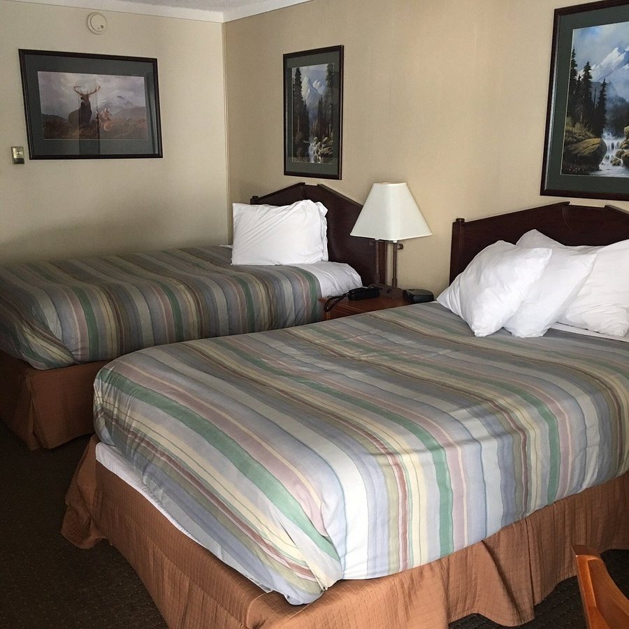Snowshoe Motel — Guest room