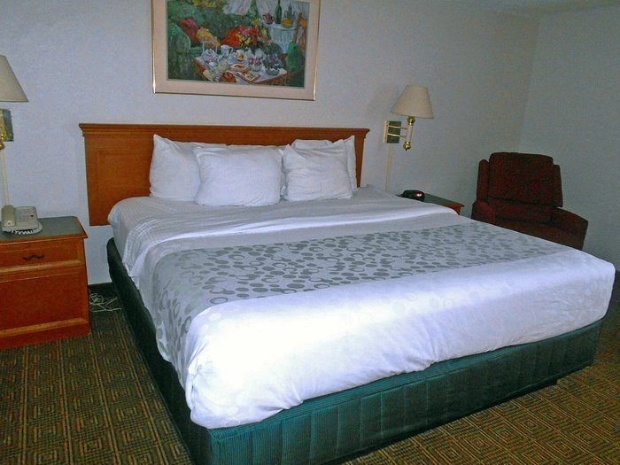 Soho Inn Suites Jacksonville North — Guest room