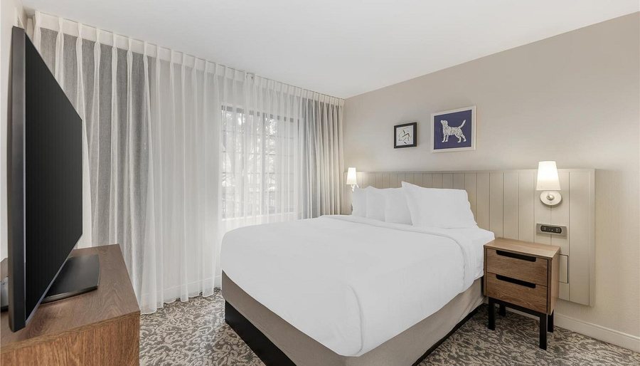 Sonesta Es Suites Austin The Domain Area — Guest room