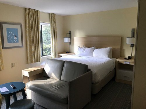 Sonesta ES Suites Charlotte Arrowood — Guest room