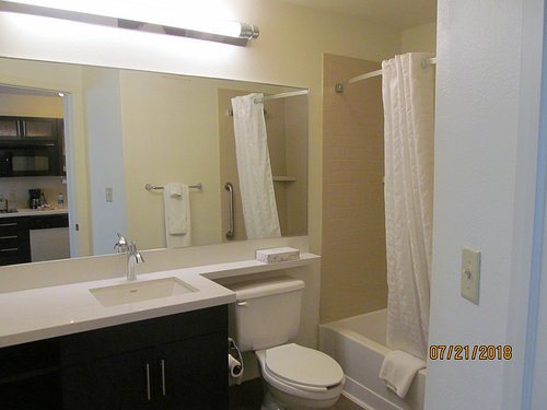 Sonesta ES Suites Detroit Warren — Bathroom