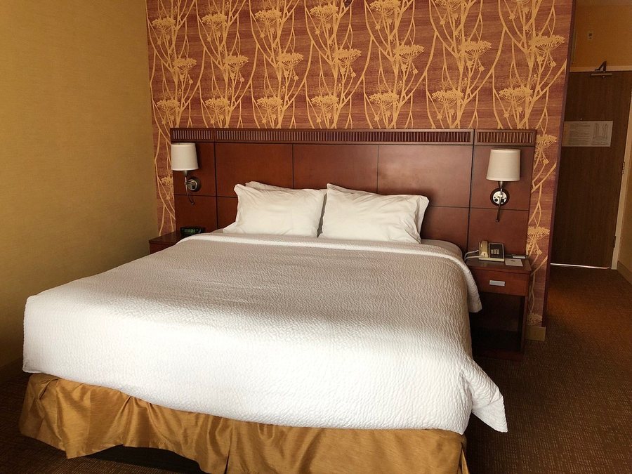 Sonesta Select Detroit Auburn Hills — Guest room