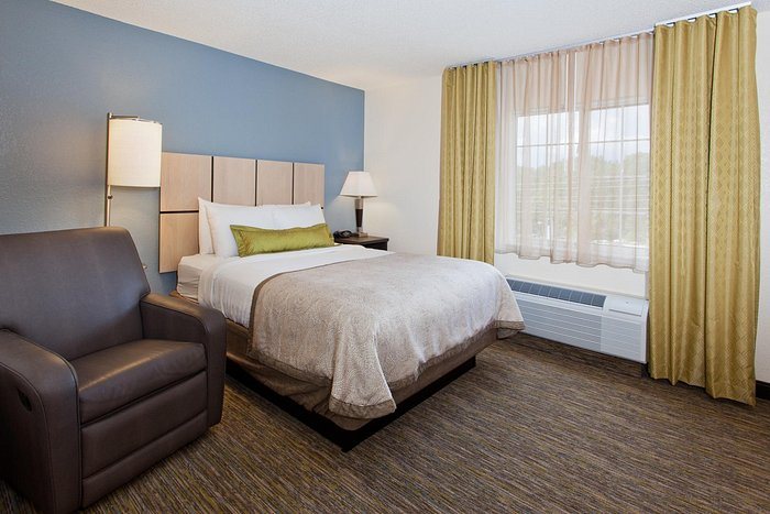Sonesta Simply Suites Arlington Entertainment District — Guest room
