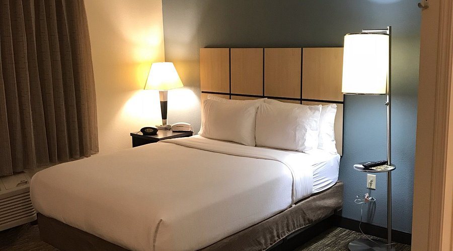 Sonesta Simply Suites Austin South — Guest room