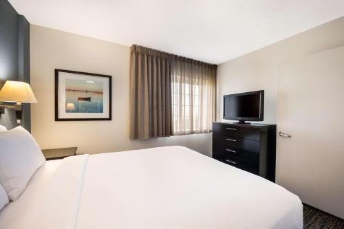 Sonesta Simply Suites Charlotte University — Guest room