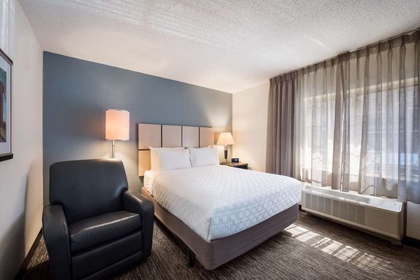 Sonesta Simply Suites Clearwater St Petersburg — Guest room