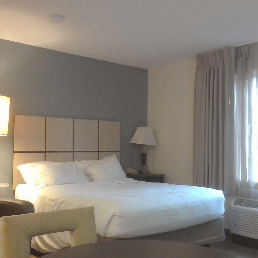 Sonesta Simply Suites Jacksonville Southpoint — Guest room