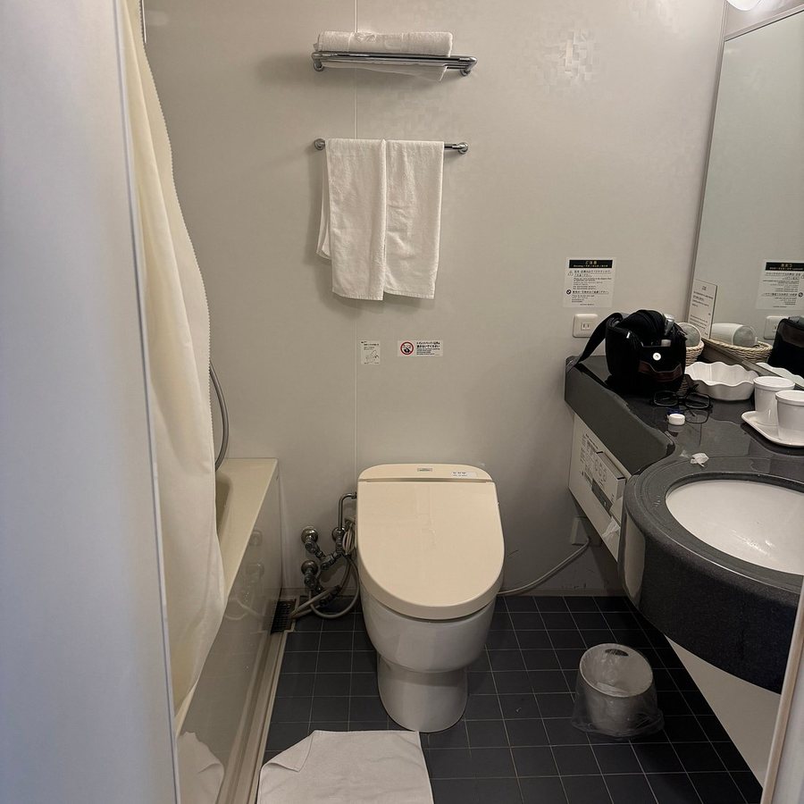 Sotetsu Fresa Inn Higashi Shinjuku — Bathroom
