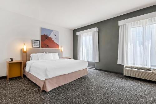 Spark By Hilton Amarillo Medical Center — Guest room