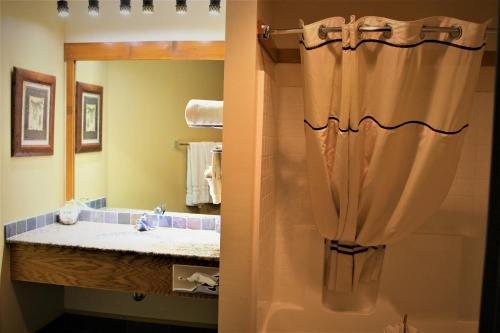 Spearfish Canyon Lodge — Bathroom