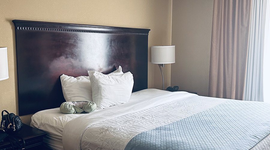 Springdale Inn Suites — Guest room