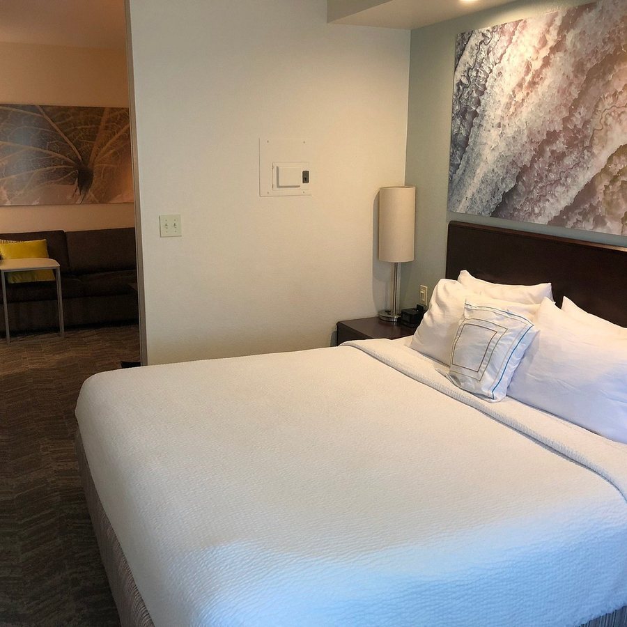 SpringHill Suites by Marriott Bakersfield — Guest room